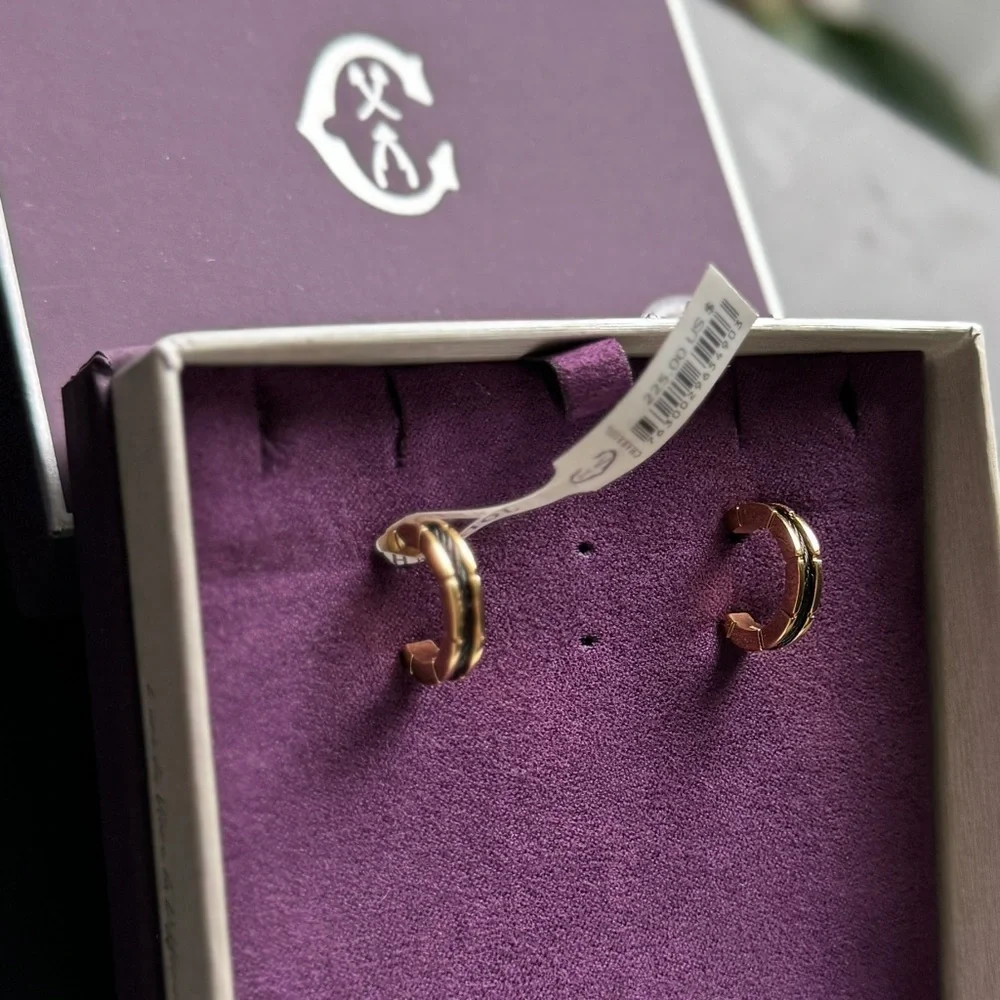 🔆 CHARRIOL Forever Slim steel earrings - Picture 2 of 4